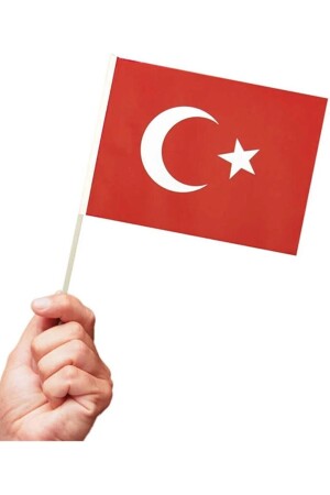 10 Stück türkische Papierflagge mit Stöcken und Stäbchen sowie einer mit Sternen und Halbmonden bedruckten Flagge - 2