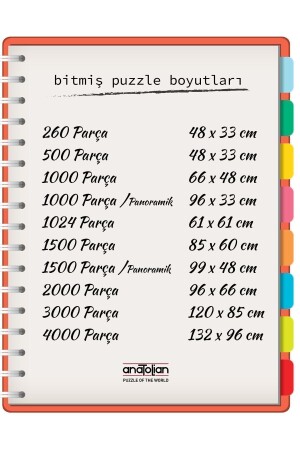 1000 Parçalık Puzzle - Kıyı Merdivenleri - Kod:1088 - 5