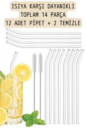 12'lı Cam Pipet Termosilikat (ısıya Dayanıklı) Ve 2 Adet Pipet Temizleme Fırçası 1. Kalite - 1