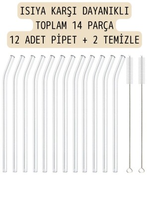 12'lı Cam Pipet Termosilikat (ısıya Dayanıklı) Ve 2 Adet Pipet Temizleme Fırçası 1. Kalite - 4