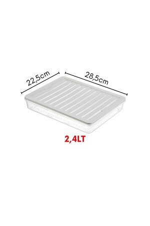 2 Li Set Freshbox Mikrodalga Ve Difrize Uygun Saklama Kabı Gri - 8