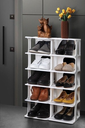 2 Stück dekorativer Schuhregal-Organizer mit 5 Augen, reproduzierbarer Slipper-Schuh-Organizer LGY-00326 - 2