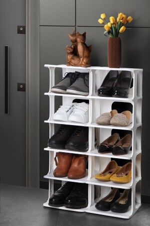 2 Stück dekorativer Schuhregal-Organizer mit 5 Augen, reproduzierbarer Slipper-Schuh-Organizer LGY-00326 - 3