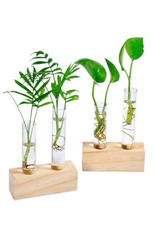 2-teilige Glas-Minivase, Blumentopf, Röhrenvase mit Holzständer - 1