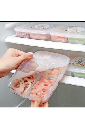 24 Stück 4 Fächer Aufbewahrungsbehälter für Mahlzeiten, Fleisch, Gemüse, Fisch – Gefrierschrank, Hackfleisch-Organizer, Organizer, BAYEV-ETSTORAGE, 4 Fächer, 24 Stück - 8