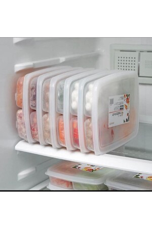 24 Stück 4 Fächer Aufbewahrungsbehälter für Mahlzeiten, Fleisch, Gemüse, Fisch – Gefrierschrank, Hackfleisch-Organizer, Organizer, BAYEV-ETSTORAGE, 4 Fächer, 24 Stück - 9