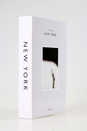 2er-Pack dekorative Bücherbox „New York/Paris“ iray03 - 5