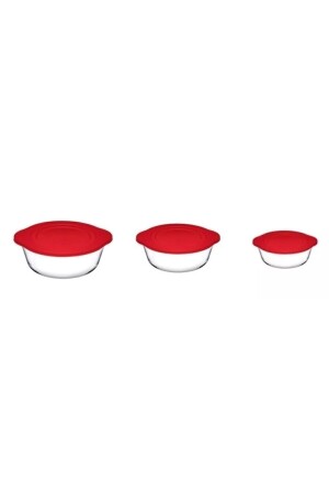 3 Stück Pyrex-Aufbewahrungsbehälter aus Kunststoff mit Deckel 003oa 004oa 005oa Fma04598 Fma04362 Fma04363 145 1109106-3 - 5