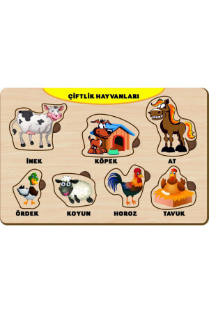 4 Adet Ahşap Bul Tak Eğitici Yapboz Puzzle Seti 12 PRS-1107 - 6