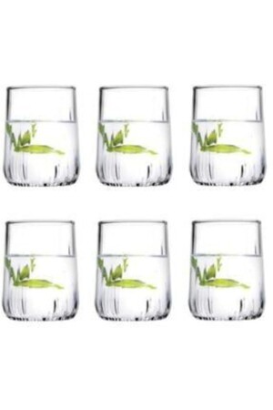 420522 Nova Short Kaffee- und Wasserglas-Set, 6 Stück - 2