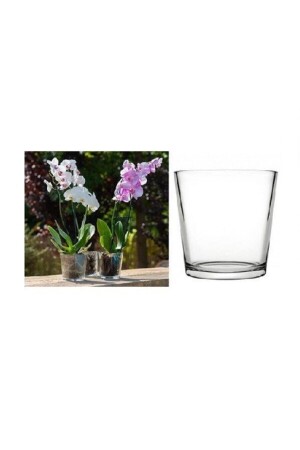 53827 Botanica Orchideenvase - 2