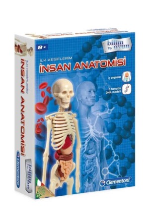 64297 Ilk Keşiflerim Insan Anatomisi 8 Yaş CLE64297 - 2