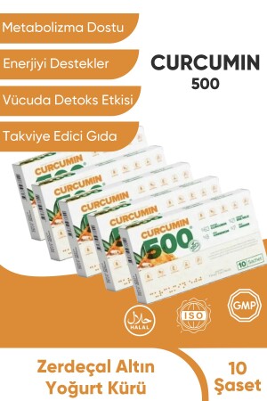 Abnehmen und den Stoffwechsel beschleunigen – Fatburner Curcumin 500 Detox – 5 Packungen N-413810 - 3