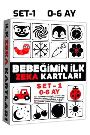 Bebeğimin Ilk Zeka Kartları Set-1 - 0-6 Ay - 3