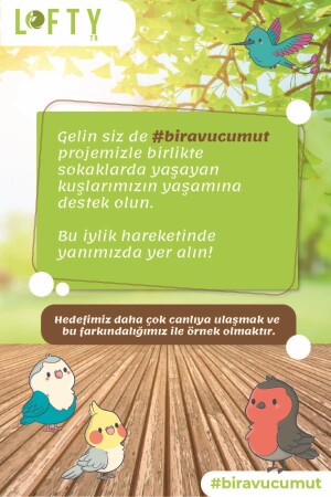 Bolluk Enerjisi Sinerji Karışım Esansiyel Uçucu Yağ Buhurdanlık Yağı Aromaterapi Difüzör-esans - 10