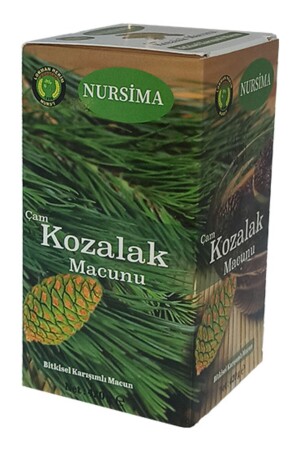 Çam Kozalak Macunu 420gr - 2