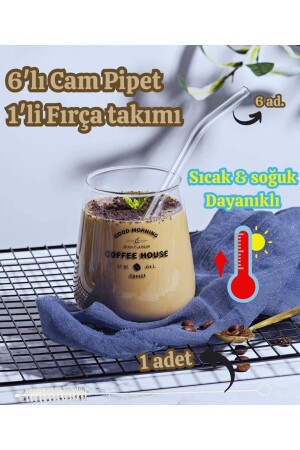 Cambu 6-teilige Glasstrohhalme aus Thermosilikat (hitzebeständig) und 1 Pipettenreinigungsbürste 1. Qualität - 5