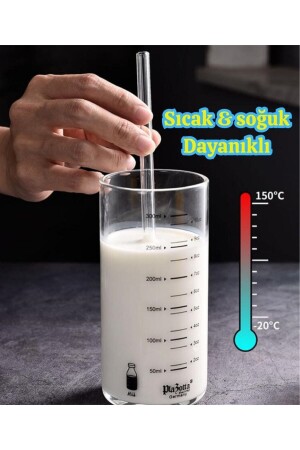 Cambu 6-teilige Glasstrohhalme aus Thermosilikat (hitzebeständig) und 1 Pipettenreinigungsbürste 1. Qualität - 6