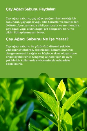 Çay Ağacı Sabunu Natural Sivilce Ve Akne Karşıtı 120 Gr. - 5