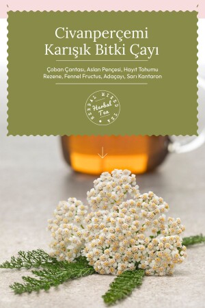 Civanperçemli Karışık Bitki Çayı (YARROW HERB TEA) 1-5grx30 Saşet - 4