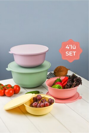 Çok Renkli Tupy Kapaklı Kase 4lü Set 2380 - 5