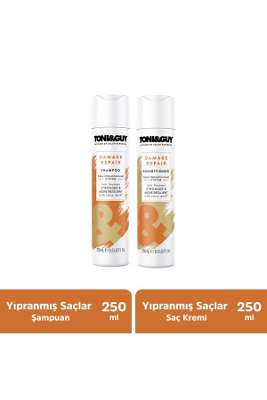 Damaged Repair Shampoo + Conditioner für strapaziertes Haar 8681689313043 - 1