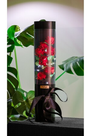 Dekorative Geschenk-Rosenboxen mit LED-Lichterkette – besondere Geschenkboxen für Verliebte und Silvester - 2