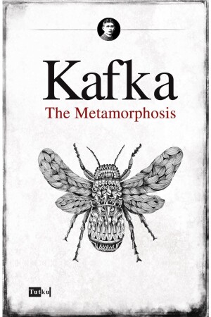 Die Metamorphose – Franz Kafka - 2