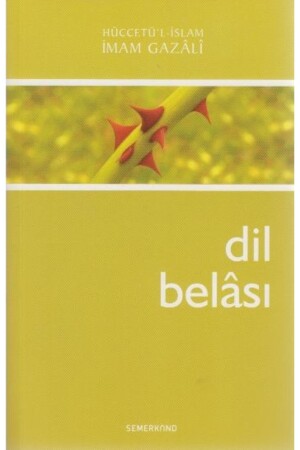 Dil Belası - 2