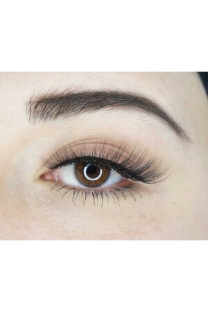 Dreifaches Set mit künstlichen Cateye-Wimpern aus Seide (MODELL F7) – Transparenter Powerliner-Stift, Kleber und Befestigungswerkzeug - 1