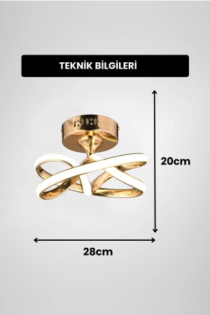 Eclipse Model Gold Kaplama Metal Salon Mutfak Oturma Yatak Odası Modern Led Plafonyer Avize - 4