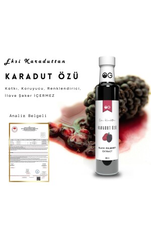 Ekşi Karadut Özü 340g - 6