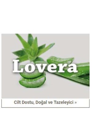 Elegante Doppel-Lovera-Steppdecke mit Aloe Vera (195 x 215). MST05542 - 5