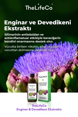 Enginar & Devedikeni Ekstraktı 150 ml 0869991080732 - 5