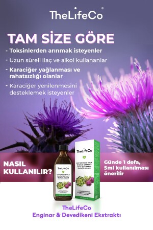 Enginar & Devedikeni Ekstraktı 150 ml 0869991080732 - 6