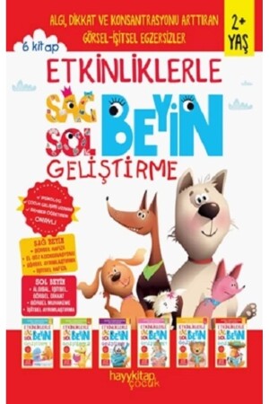 Entwicklung der rechten und linken Gehirnhälfte mit Aktivitäten (2 JAHRE), 6er-Set - 3