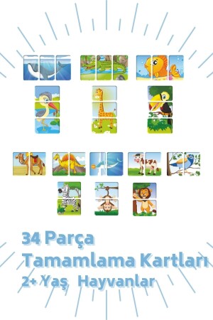 Eşleştirme Ve Tamamlama Kartları 4 Lü Set BON8026803381328149 - 9