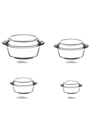 Gedecktes Pyrex-Mitgift-Set 011oa 012oa 013oa 018oa US610600128 - 1