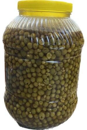 Hatay Local Anklet Kleine Snack-Grünoliven 5 Liter / 3 kg Kanister kleine Oliven 3,5 Dosen - 6