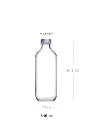 Ikonisches 3-teiliges Wasserflaschen-Set, 3 Größen (1100 cc-540 cc-340 cc) US0661054 - 5