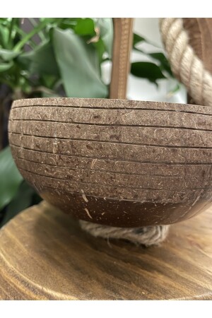 Jumbo Özel Tasarım Hindistan Cevizi Kase Ve Kase Altlığı - Coconut Bowl - Bowl Kasesi - Çerezlik JDA0001 - 8