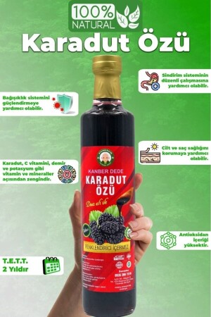 Karadut Özü 670 Gr Doğal Koruyucusuz Katkısız TYC81FKBLN171243957764057 - 5