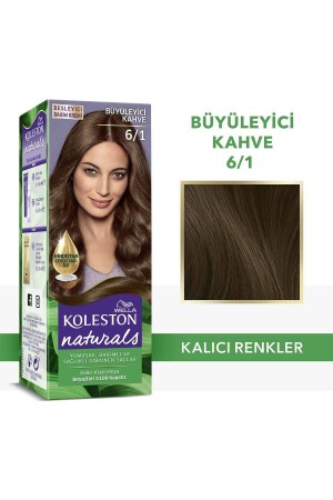 Koleston Naturals Haarfärbemittel 6/1 Faszinierendes Braun - 2