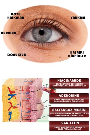 Korean 1000 Ppb Altın Ve 1000 Ppm Salyangoz Özü Içeren Göz Çevresi Ve Göz Kapağı Kırışıklık Kremi - 10