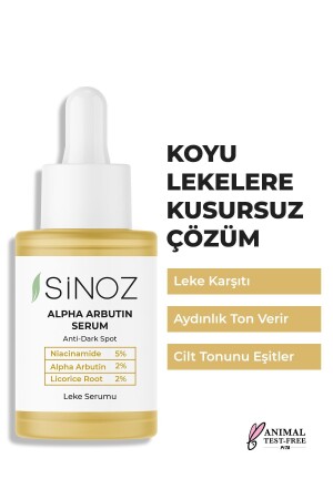 Koyu Leke Karşıtı Arbutin Cilt Serumu (Niacinamide 5% - Alpha Arbutin 2%) 30 ML - 2