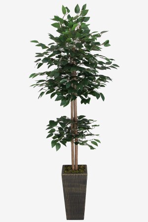 Künstlicher Benjamin-Baum, 155 cm, grüner Stamm (Schwarz-Gold-Holztopf) - 2