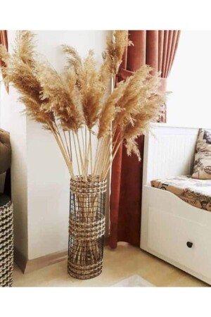 Kuru Çiçek Pampas 20 Adet 100 cm M-100 - 1