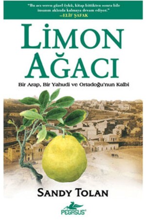 Limon Ağacı - Sandy Tolan - 2