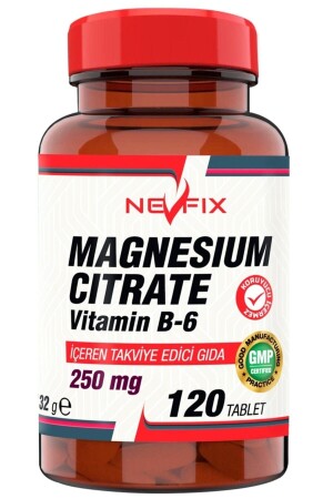 Magnesium Citrate Magnezyum Sitrat 250 Mg Vitamin B6 10 Mg 120 Tablet - 2