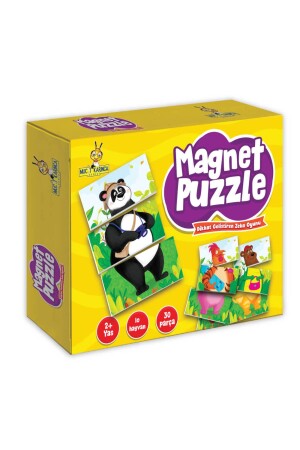 Magnet Puzzle Dikkat Geliştiren Zeka Oyunu - 2